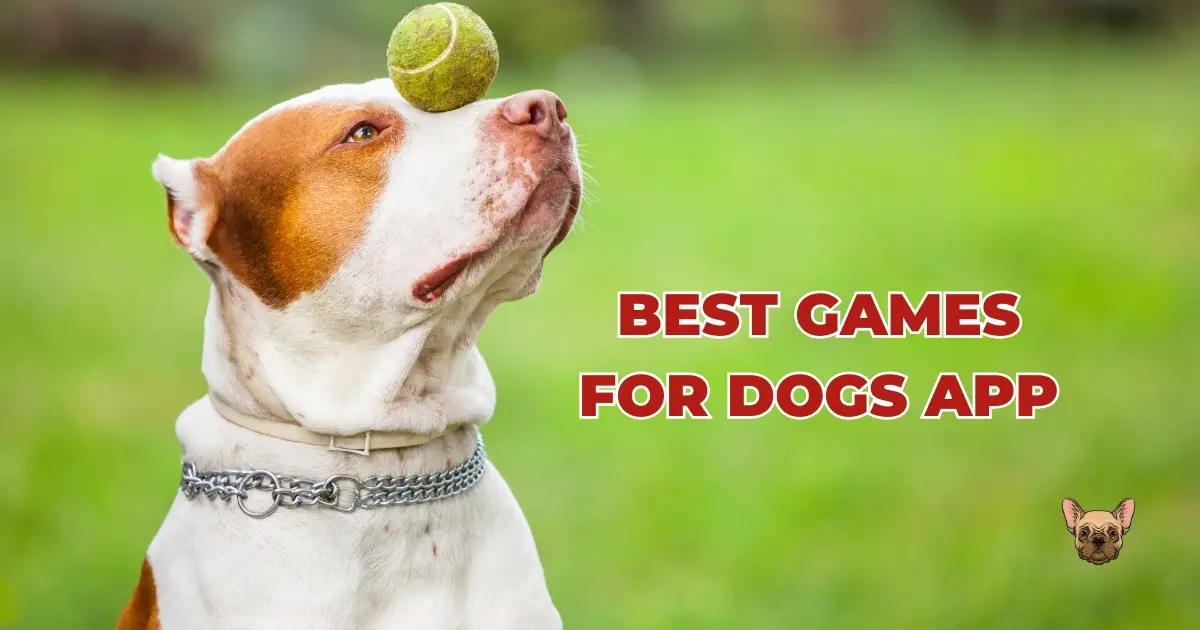 Best Must-Have Games For Dogs Apps: Calling All Pet Lovers! Check Out
