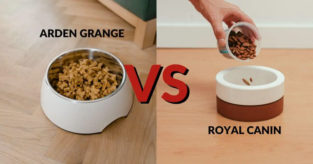 Arden Grange vs Royal Canin – 3 Characteristics To Choose The Best