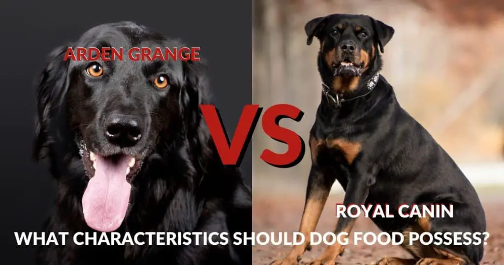Arden Grange vs Royal Canin - What Characteristics Should Dog Food Possess?