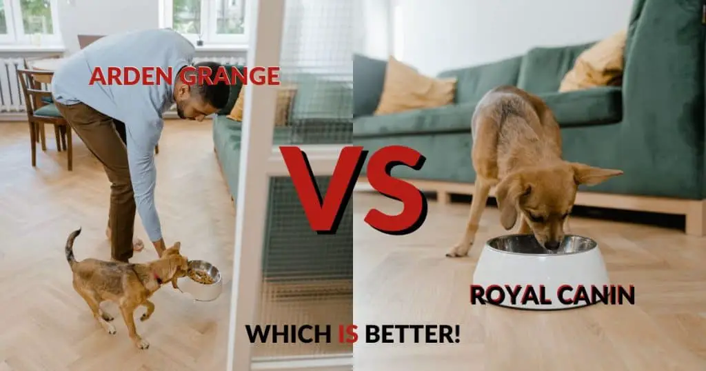 Arden Grange vs Royal Canin - Which Is Better!