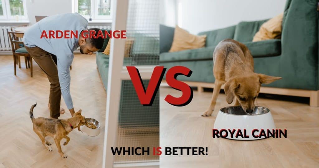 Arden Grange vs Royal Canin - Which Is Better!