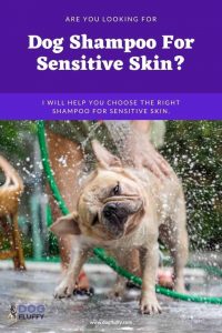 Best 10 Dog Shampoo For Sensitive Skin