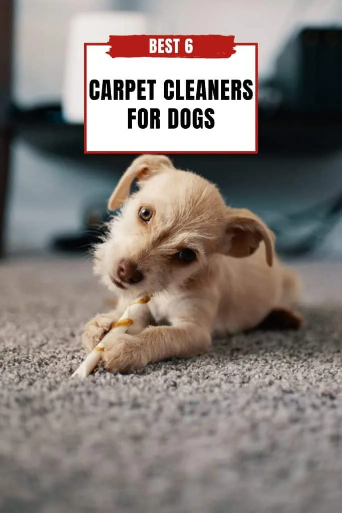 Best Carpet Cleaners for Dogs - PIN