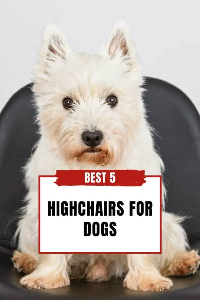 The Best 5 Highchairs For Dogs - PIN