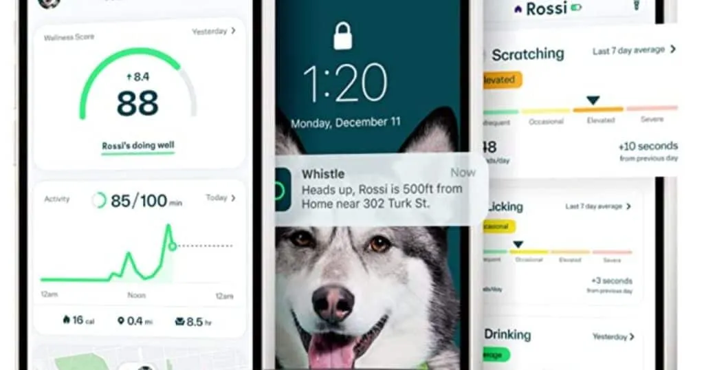 whistle Fitbit for dogs