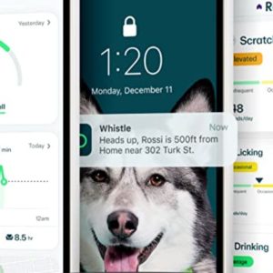 whistle fitbit for dogs