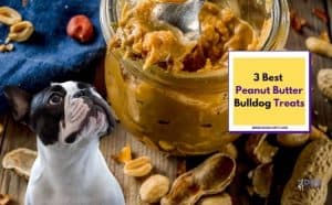 3 Best Peanut Butter Bulldog Treats - Featured Image