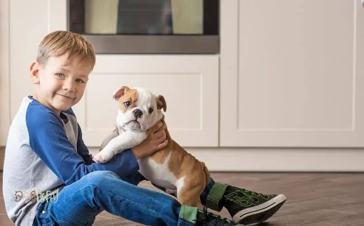 Are Bulldogs Good With Kids? Best Guide 2022