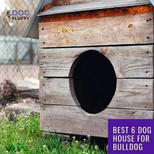 Best 6 Dog House for Bulldog - Social Media Share For Website