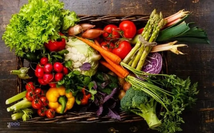 Best Vegetables For Bulldogs Best Vegetables For Bulldogs