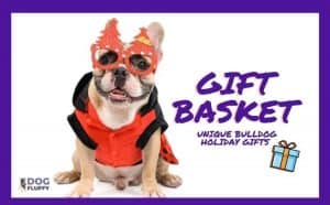 Gift Basket Unique Bulldog Holiday Gifts
