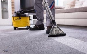 How to Choose The Best Carpet Cleaners for Dogs