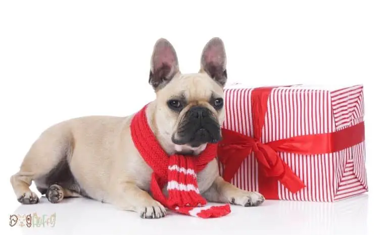Unique Bulldog Holiday Gifts