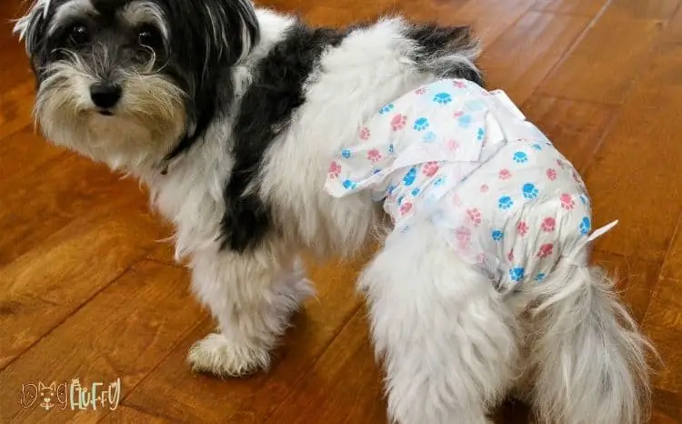 diapers for dogs in heat