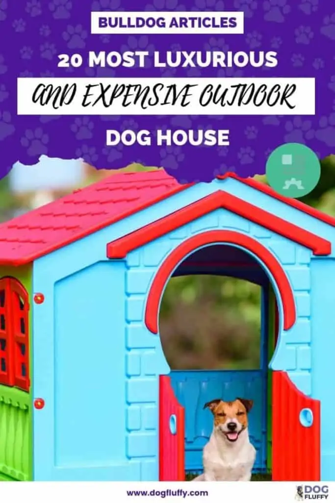 20 Most Luxurious And Expensive Outdoor Dog House