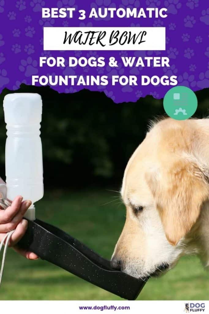 Best 3 Automatic Water Bowl For Dogs & Water Fountains For Dogs