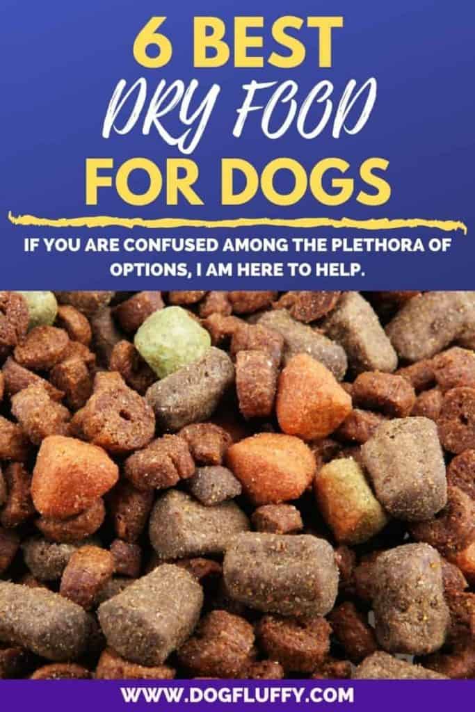 Best Dry Food For Dogs - Pin Website