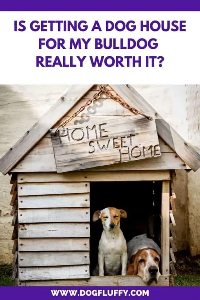 Is Getting A Dog House For your bulldog Really Worth It