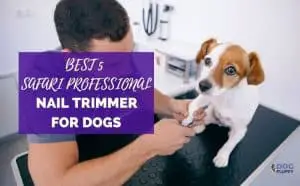 Safari professional nail trimmer for dogs featured image