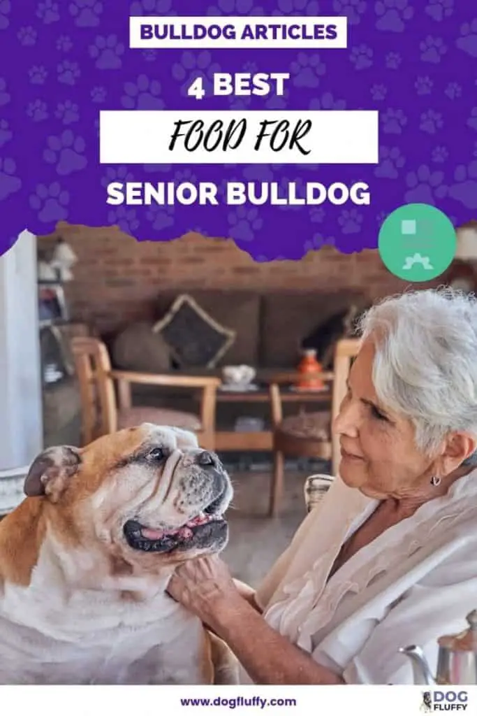 The 4 Best Food For Senior Bulldog With Sensitive Digestions