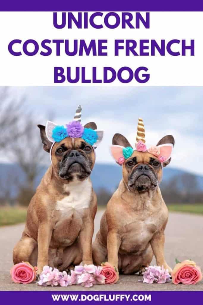 Unicorn Costume french bulldog