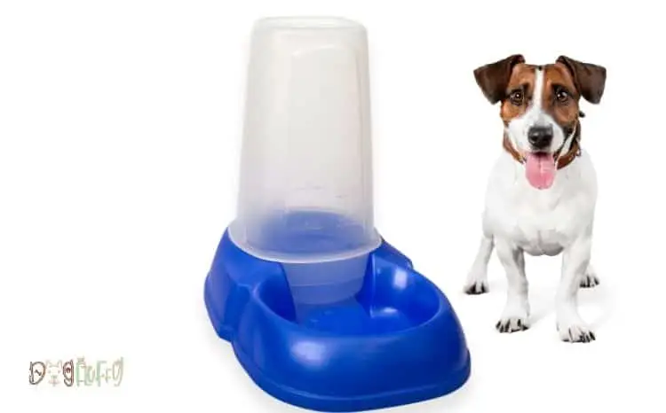 automatic water bowl for dogs
