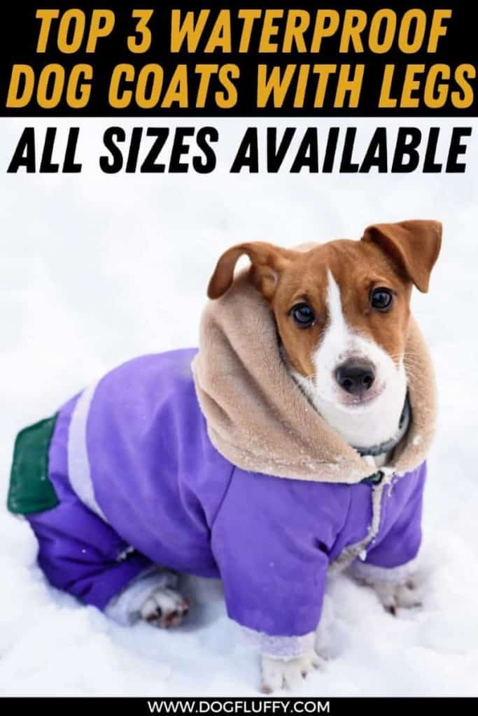 waterproof dog coat with underbelly PIn image