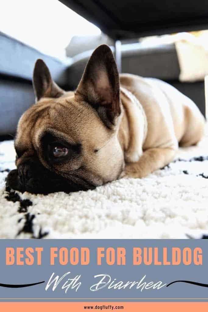 Best-Food-For-Bulldog-With-Diarrhea-Pinerest-Image | Dog ...