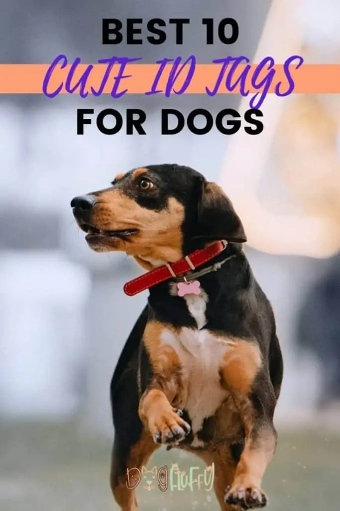 Best 10 Cute ID Tags For Dogs Pin Image