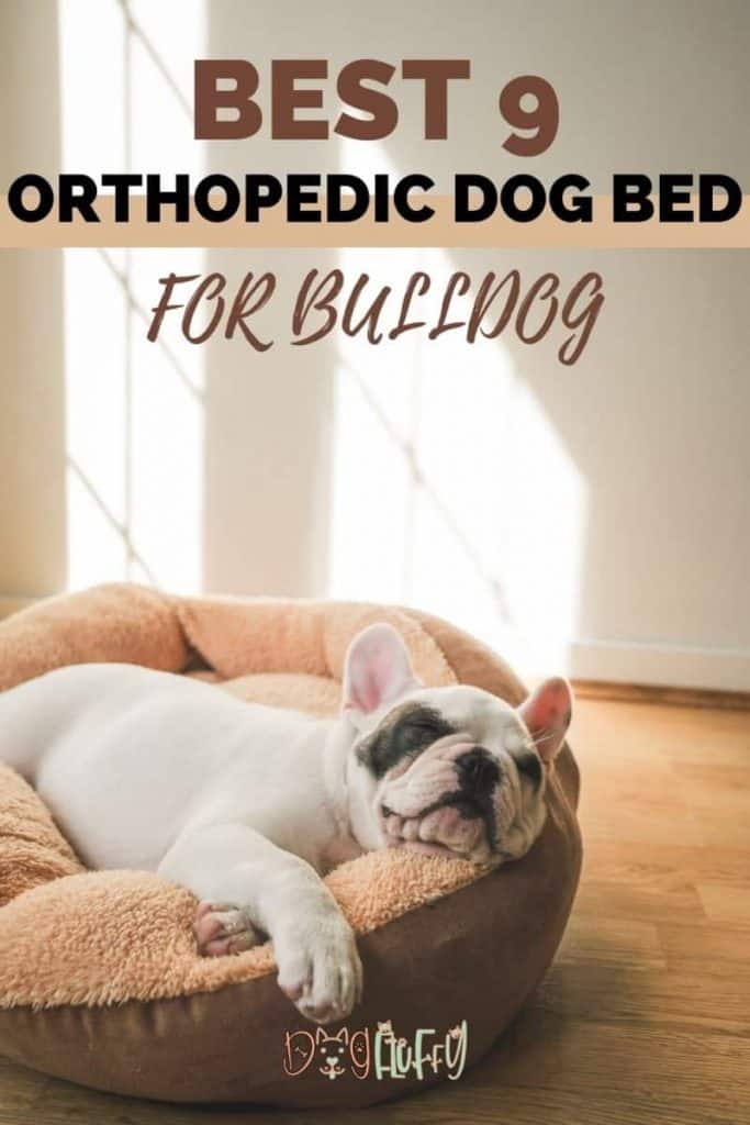 Orthopedic Dog Bed For Bulldog Pin Image