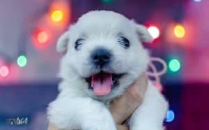West Highland White Terrier Dog Breed Images7 1