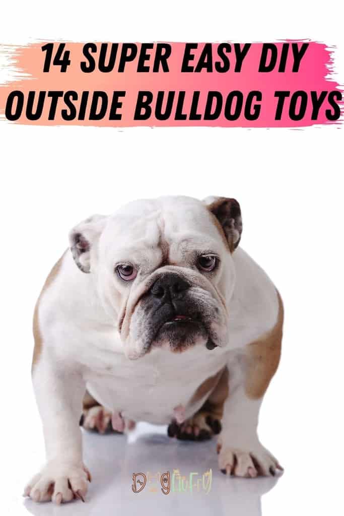 14-Super-Easy-DIY-Outside-Bulldog-Toys-Pin-Image