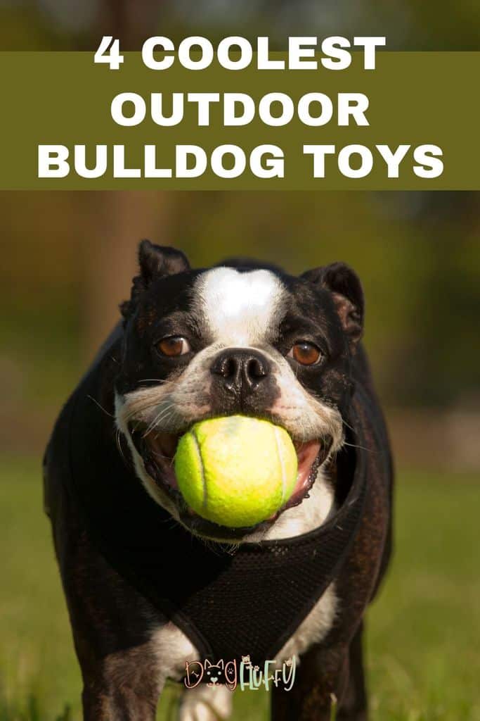 4-Coolest-Outdoor-Bulldog-Toys-Pin-Image