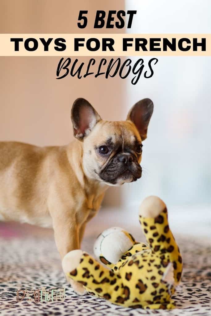 5-Best-Toys-for-French-Bulldogs-Pin-Image