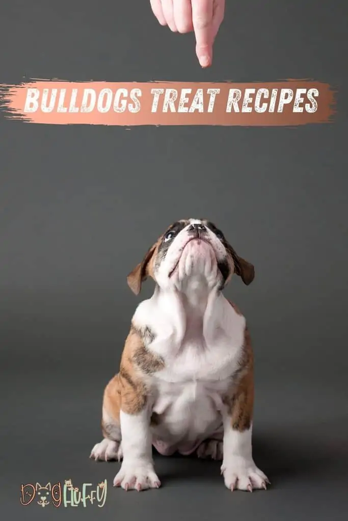 Bulldogs-Treat-Recipes-pin-image