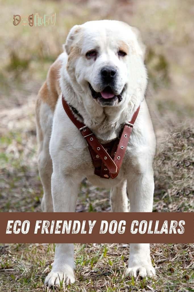 ECO-FRIENDLY-DOG-COLLARS-pin-image