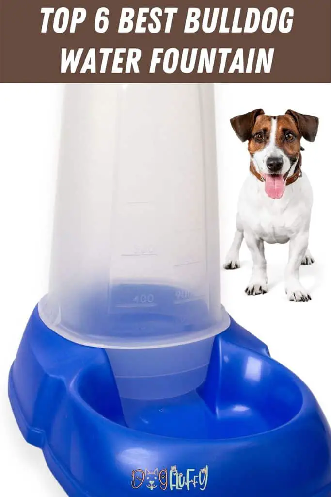 Top-6-Best-Bulldog-Water-Fountain-Pin-Image