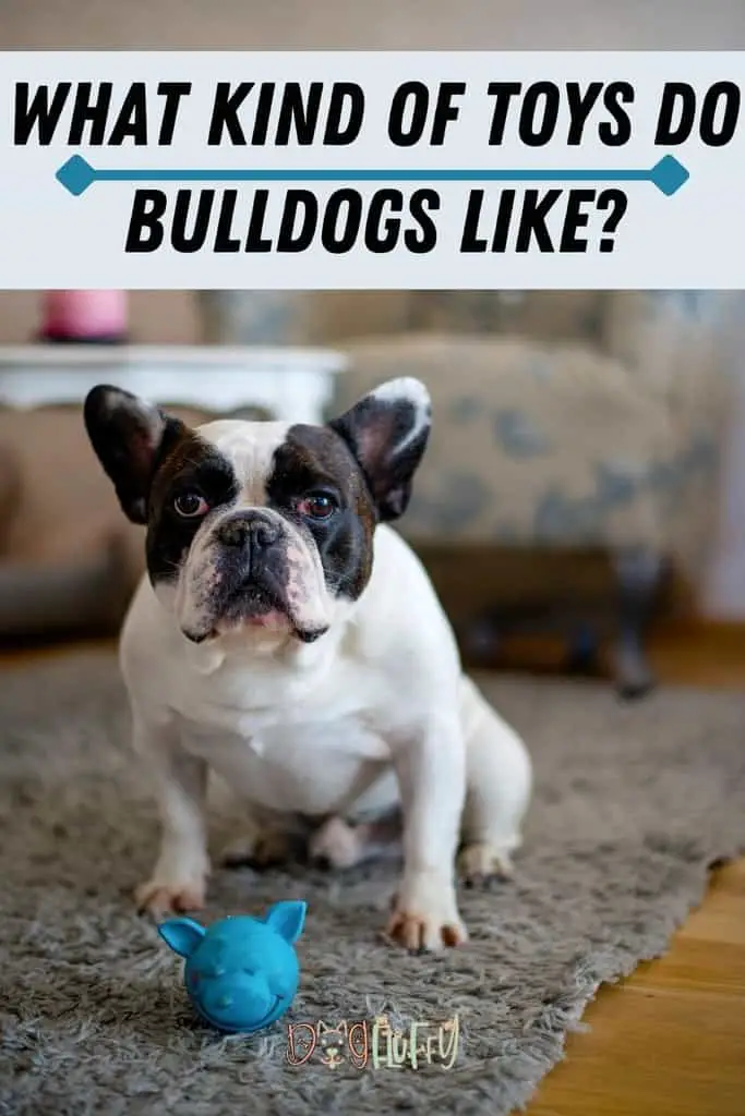 What-Kind-Of-Toys-Do-Bulldogs-Like_-Pin-Image