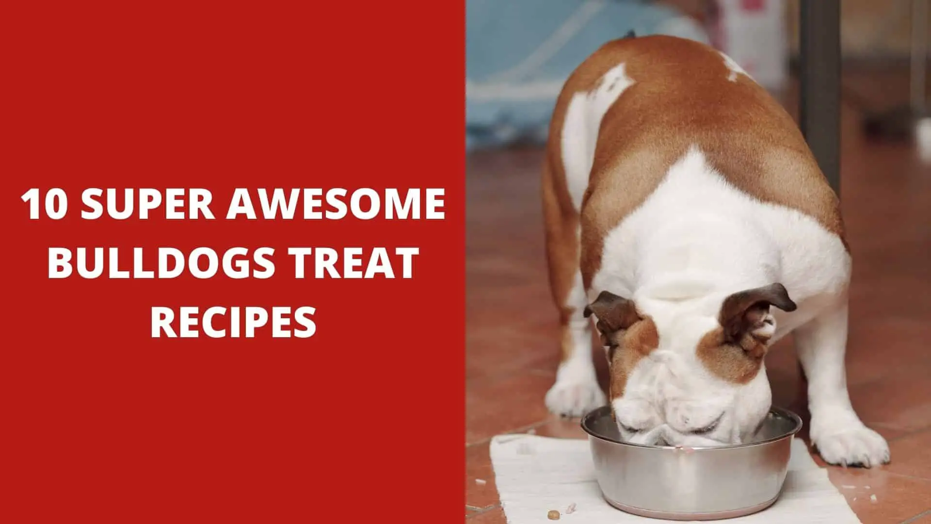 10 Super Awesome Bulldogs Treat Recipes