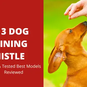 Top 3 Dog Training Whistle | Tried & Tested Best Models Reviewed