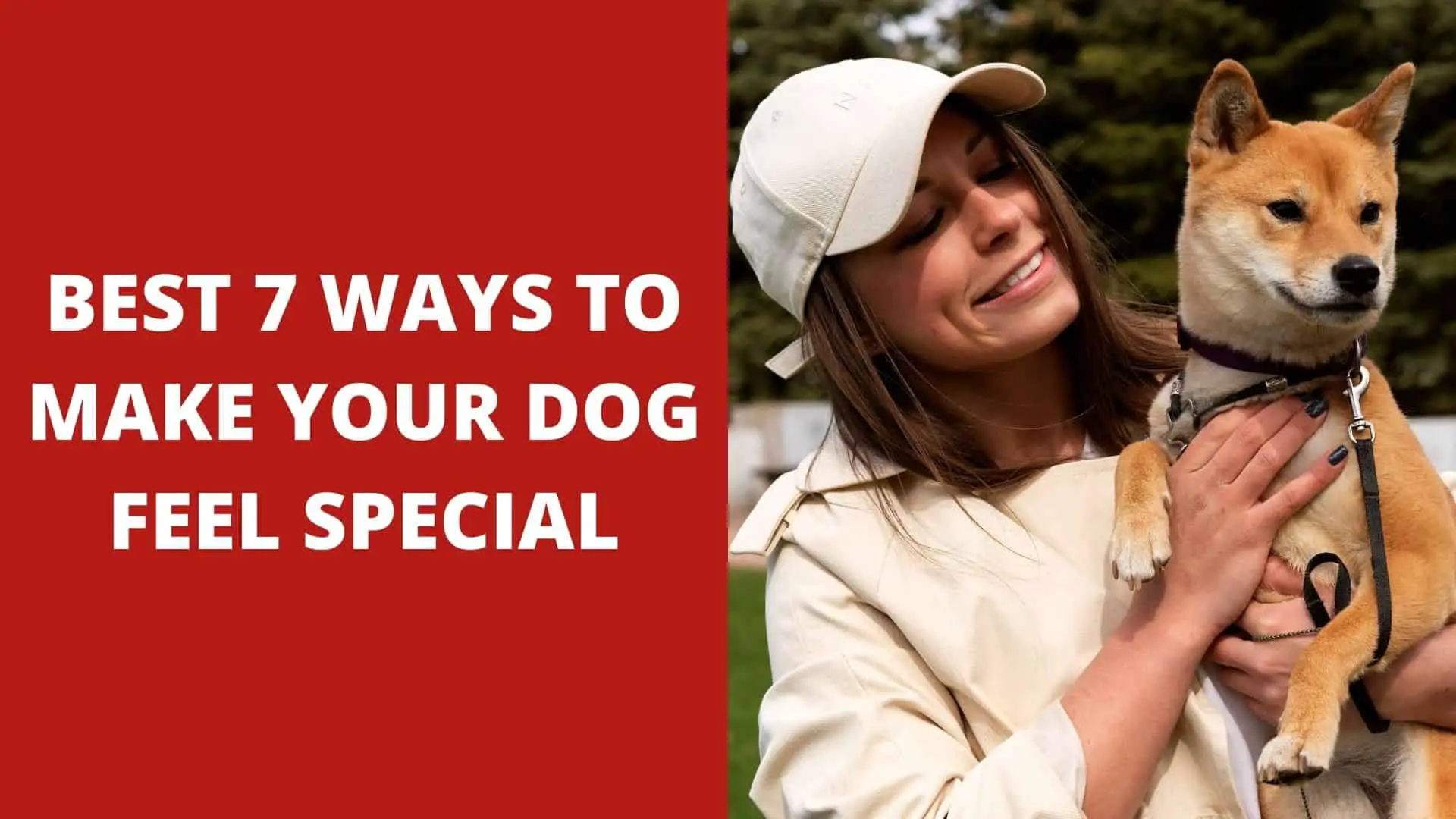 Best 7 Ways to Make Your Dog Feel Special