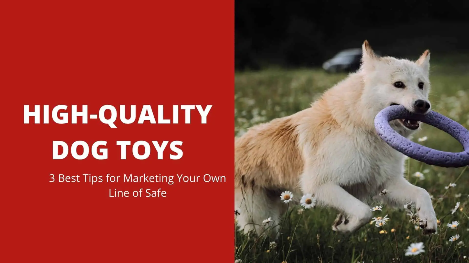 High-Quality Dog Toys, 3 Best Tips for Marketing Your Own Line of Safe