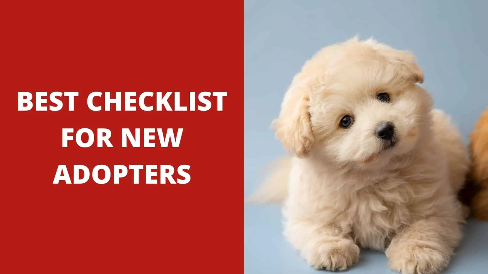 Best Checklist For New Adopters 2022