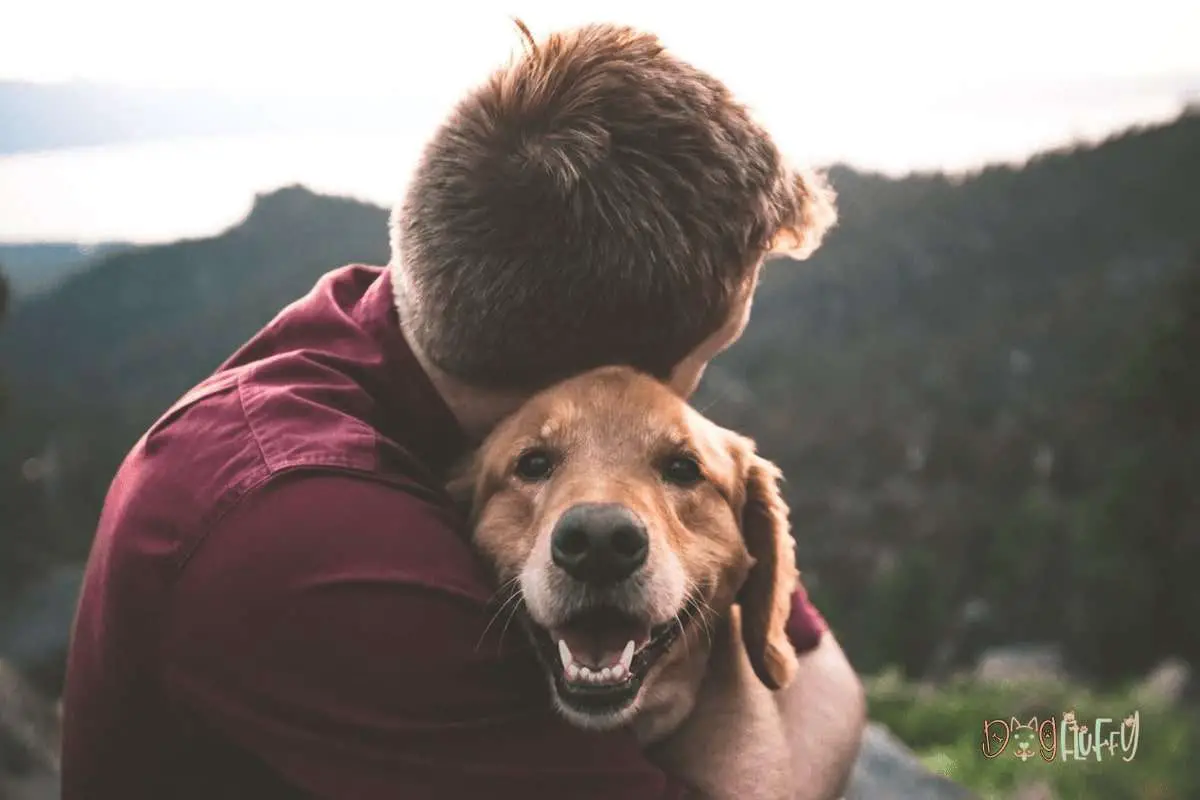 Mental Health Benefits of Having a Pet