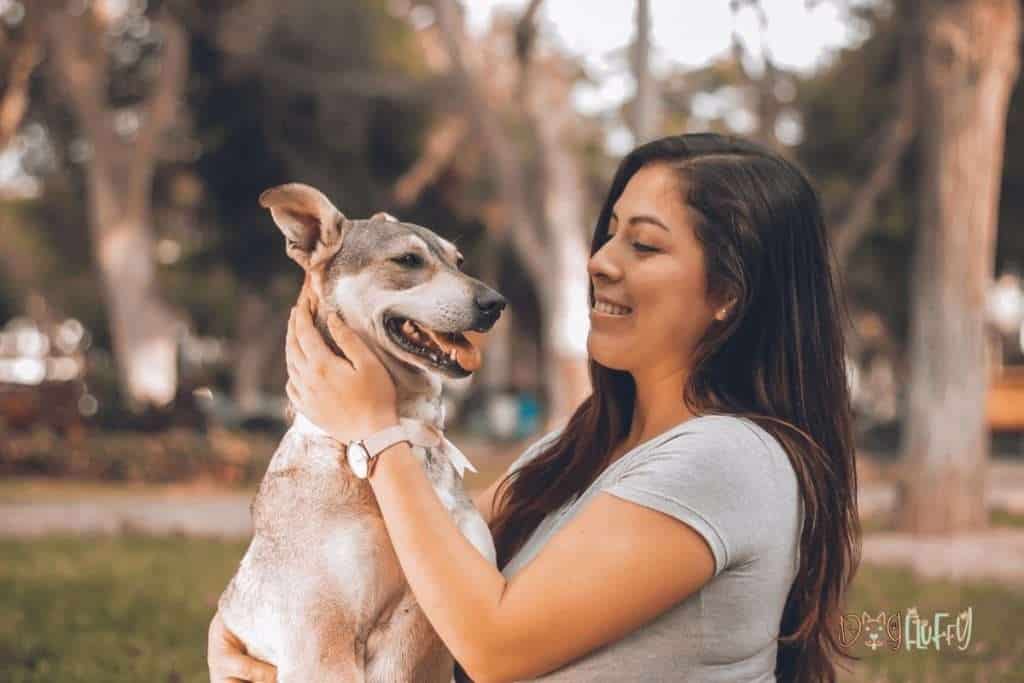 The Mental Health Benefits of Having a Pet - Best Guide 3 They Can Help You Have A More Positive Outlook On Life