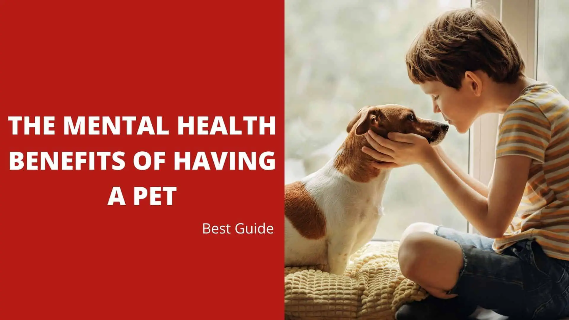 The Mental Health Benefits of Having a Pet – Best Guide 2022