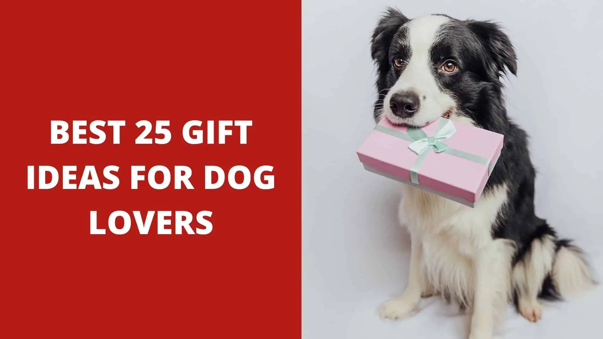 Best 25 Gift Ideas for Dog Lovers