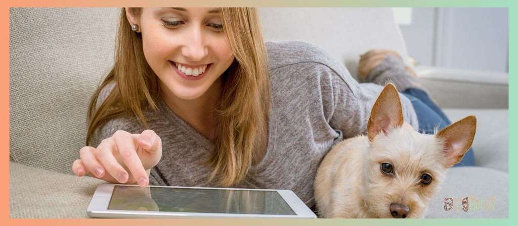 Is Catnip for Dogs Safe or Not?