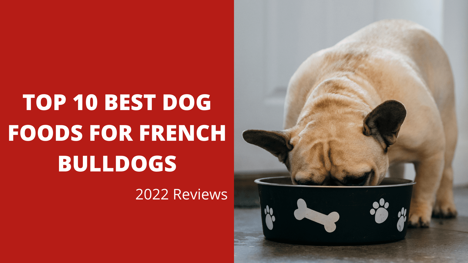Top 10 Best Dog Foods For French Bulldogs (2022 Reviews)