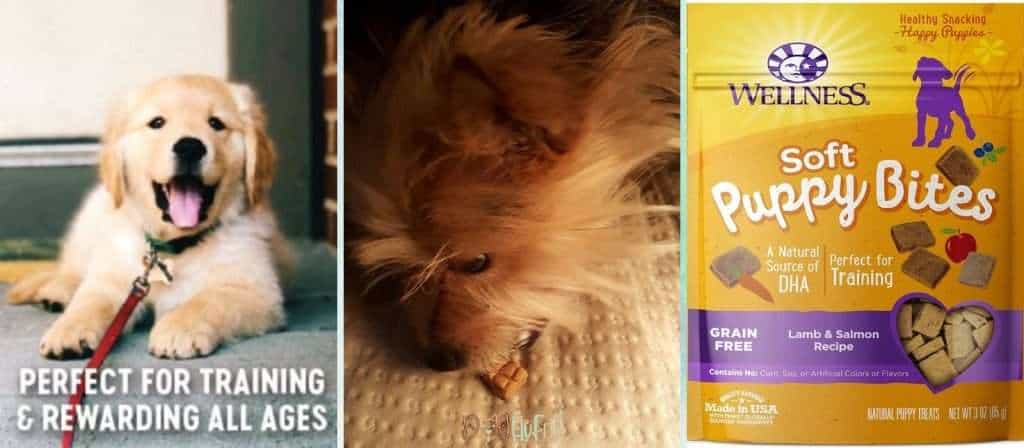 Wellness Soft Puppy Bites for Healthy Dog Biscuits - Dog Fluffy